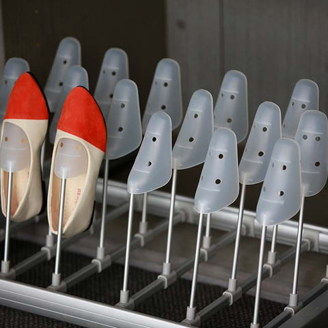 Pull Out Shoe Rack